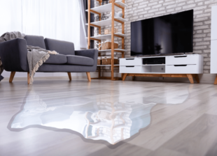 Aufgequollenes Laminat reparieren